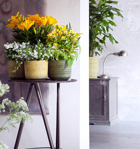 Bloempotten
